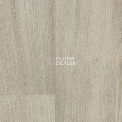 Линолеум Forbo SureStep Wood 18372 white chestnut фото 1 | FLOORDEALER